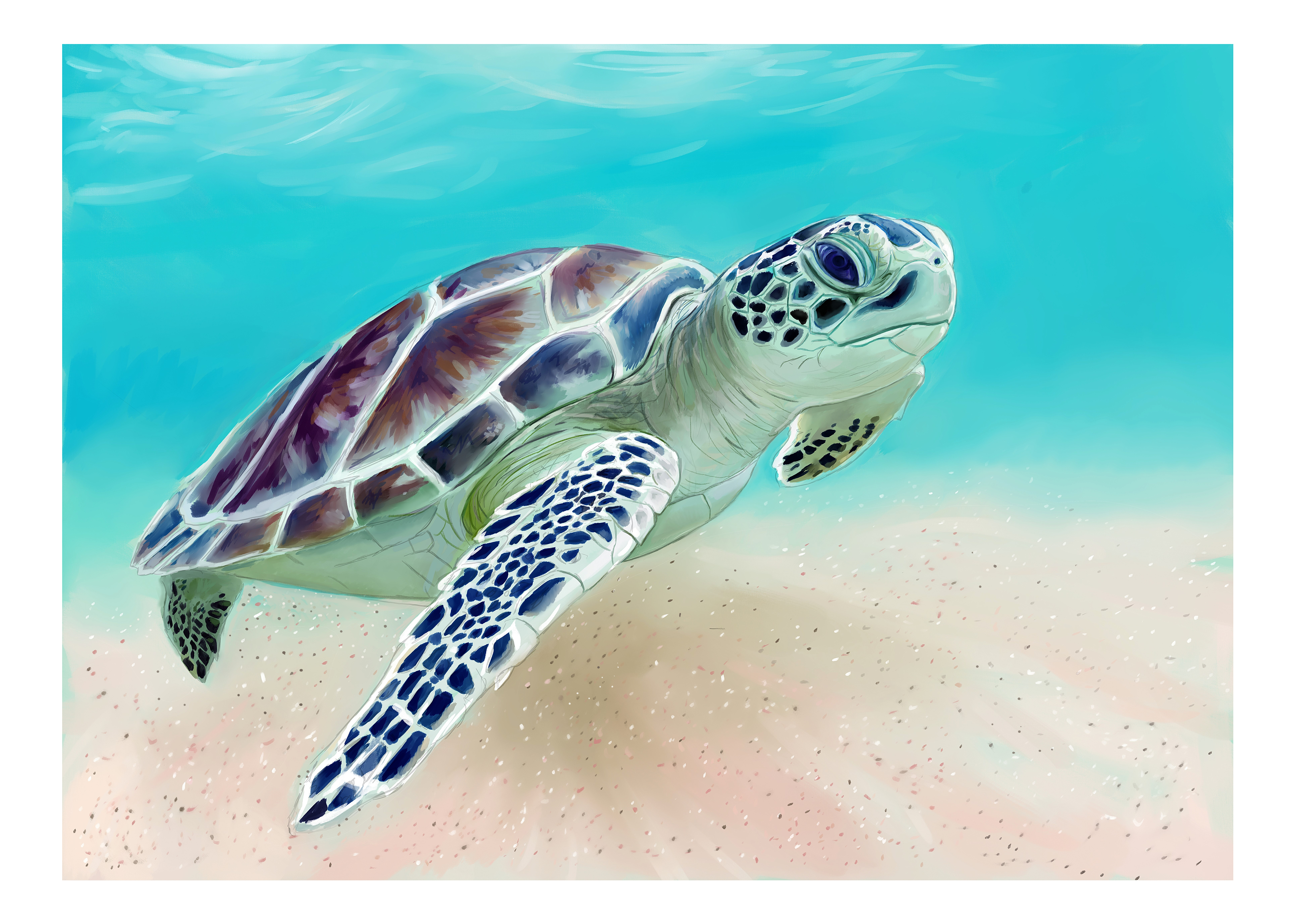 Impressionist sea turtle gliding through turquoise water